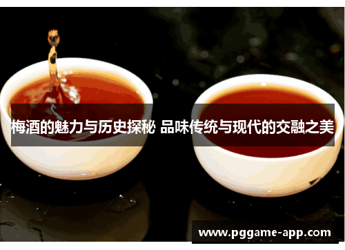 梅酒的魅力与历史探秘 品味传统与现代的交融之美